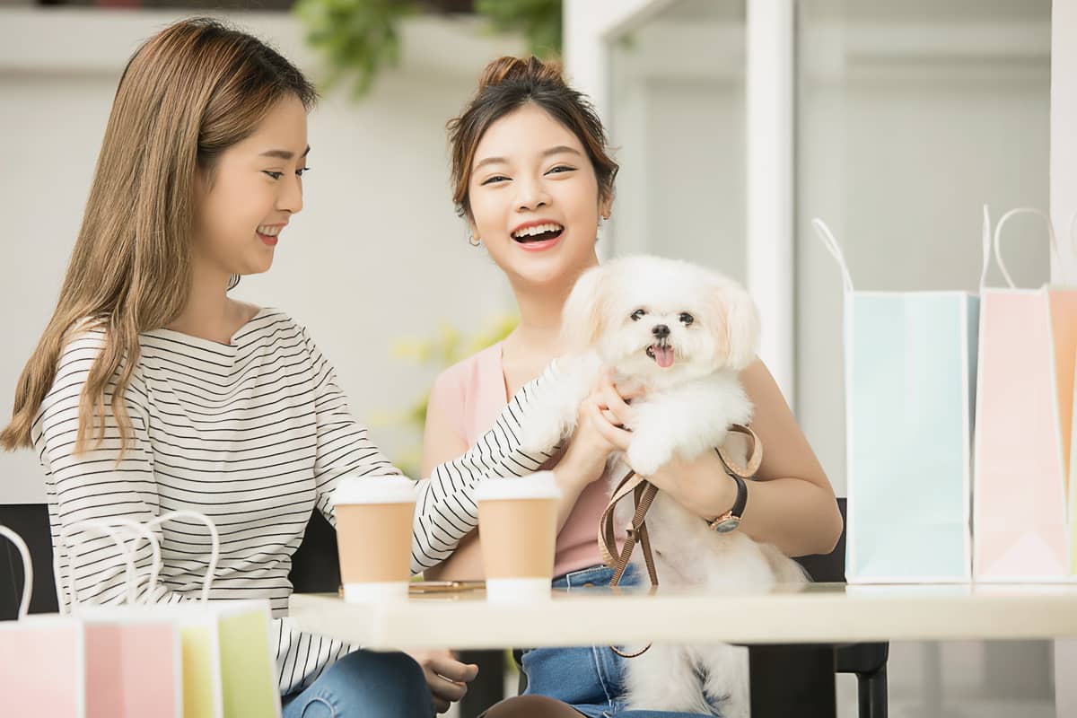 Find the ultimate hangout spot for you and all your friends -- furry ones included!